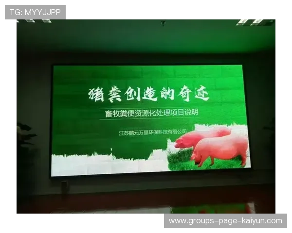 夏季签约回报率排行：哪笔合同最值？